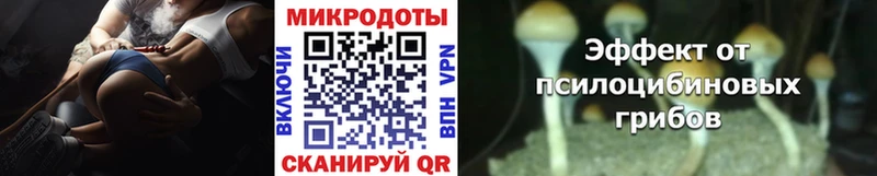 где купить наркоту  Остров  кракен как войти  Псилоцибиновые грибы мицелий 